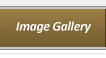 Image Gallery
